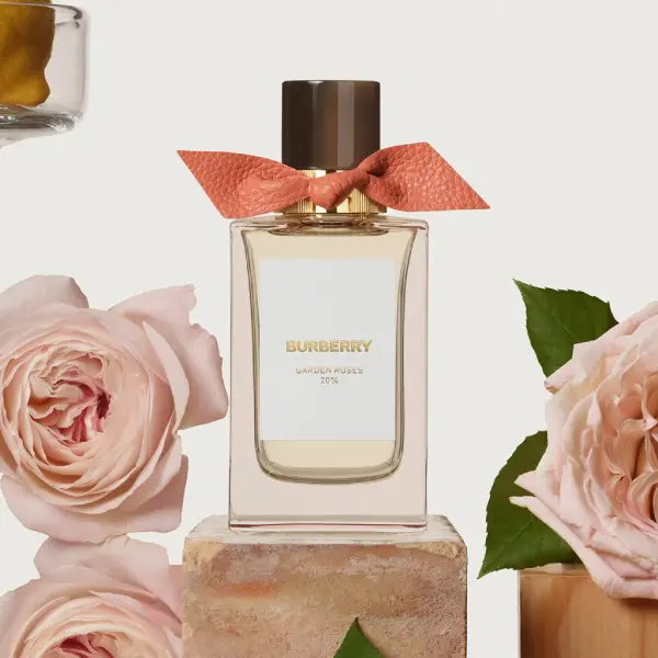 Garden Roses (100ML)