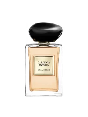 Gardénia Antigua (100ML)