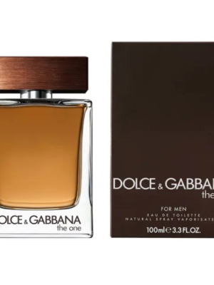 dolce gabbana the one for men