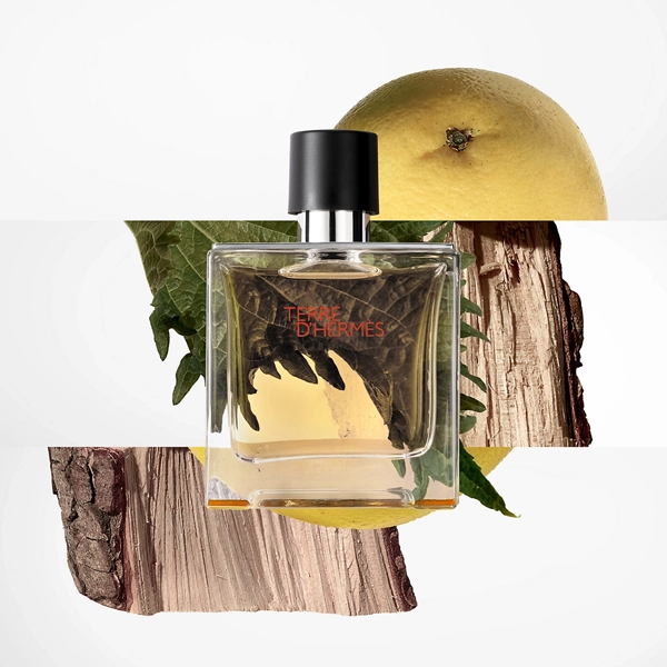 Terre d'Herms (100ML)